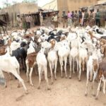 71,52 MILLIARDS DE SOUMISSIONS : LE MALI SÉDUIT LES INVESTISSEURS
